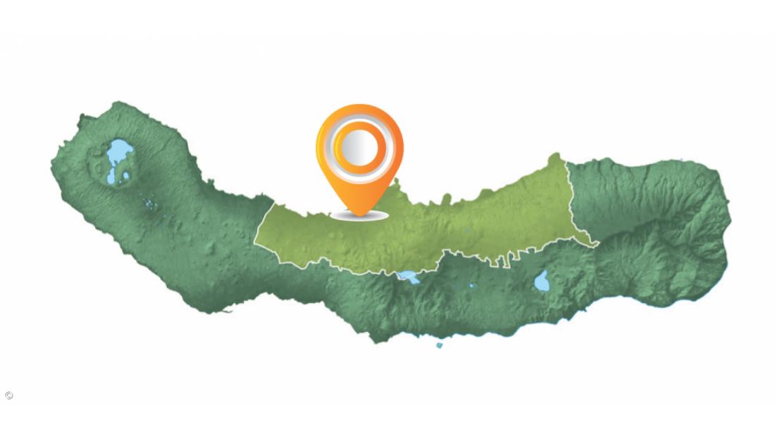 Ribeira Grande em números