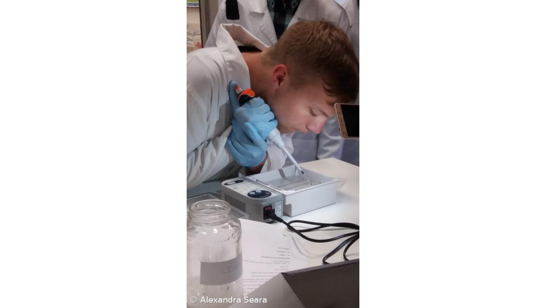 A Fascíola Hepática nos Açores. Como Fizemos... Conclusões do estudo – Imagem 9