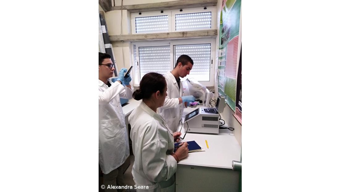 A Fascíola Hepática nos Açores. Como Fizemos... Conclusões do estudo – Imagem 10