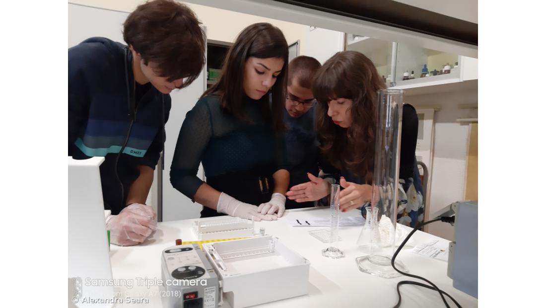 A Fascíola Hepática nos Açores. Como Fizemos... Conclusões do estudo – Imagem 11