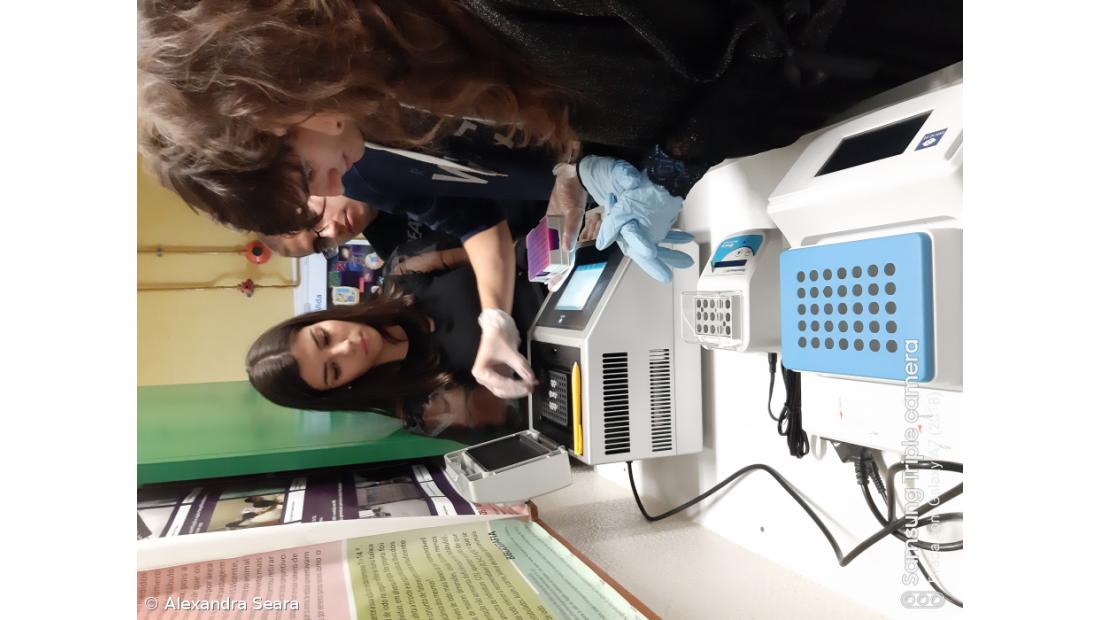 A Fascíola Hepática nos Açores. Como Fizemos... Conclusões do estudo – Imagem 4