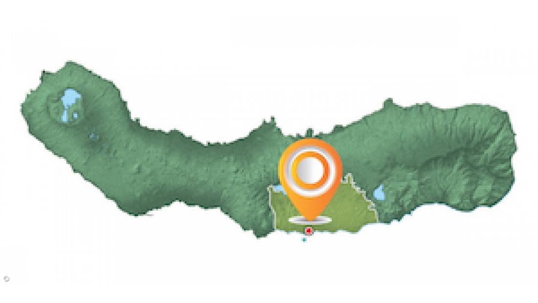 Vila Franca do Campo em números