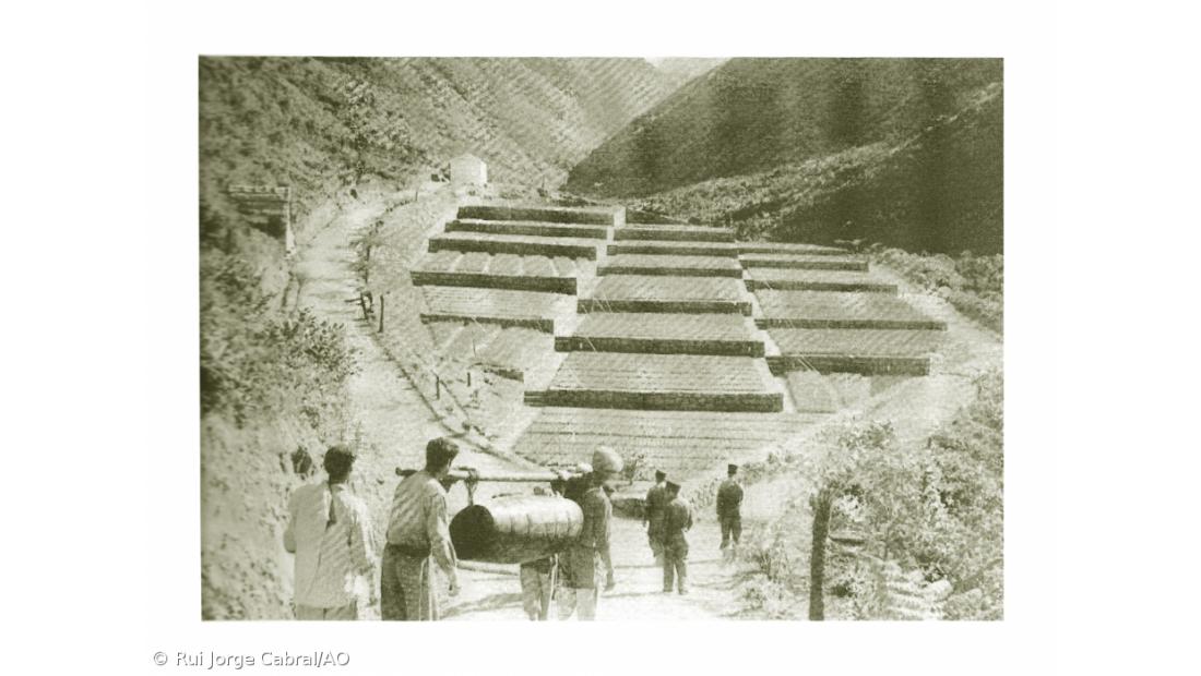 Fajã do Rodrigo vai reabrir em 2021 com trilho pedestre – Imagem 3