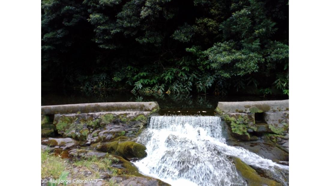 Fajã do Rodrigo vai reabrir em 2021 com trilho pedestre – Imagem 5