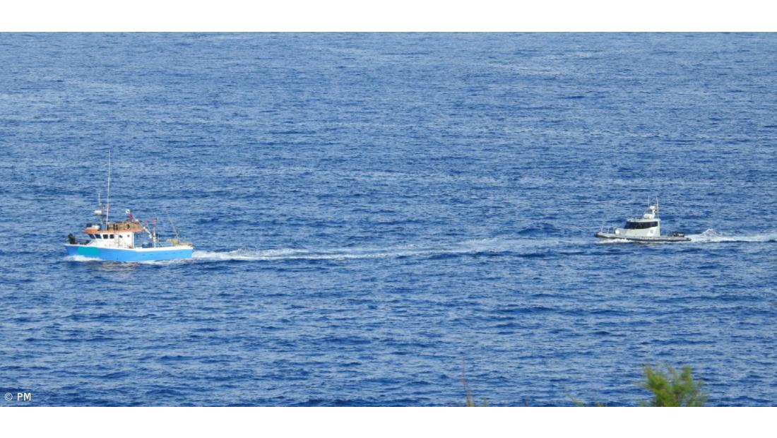 Polícia Marítima da Horta apreende 700 quilos de pescado capturado em área protegida – Imagem 2