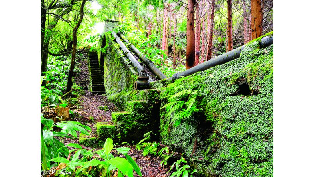 Lagoa com saldo financeiro positivo de 848 mil euros – Imagem 3