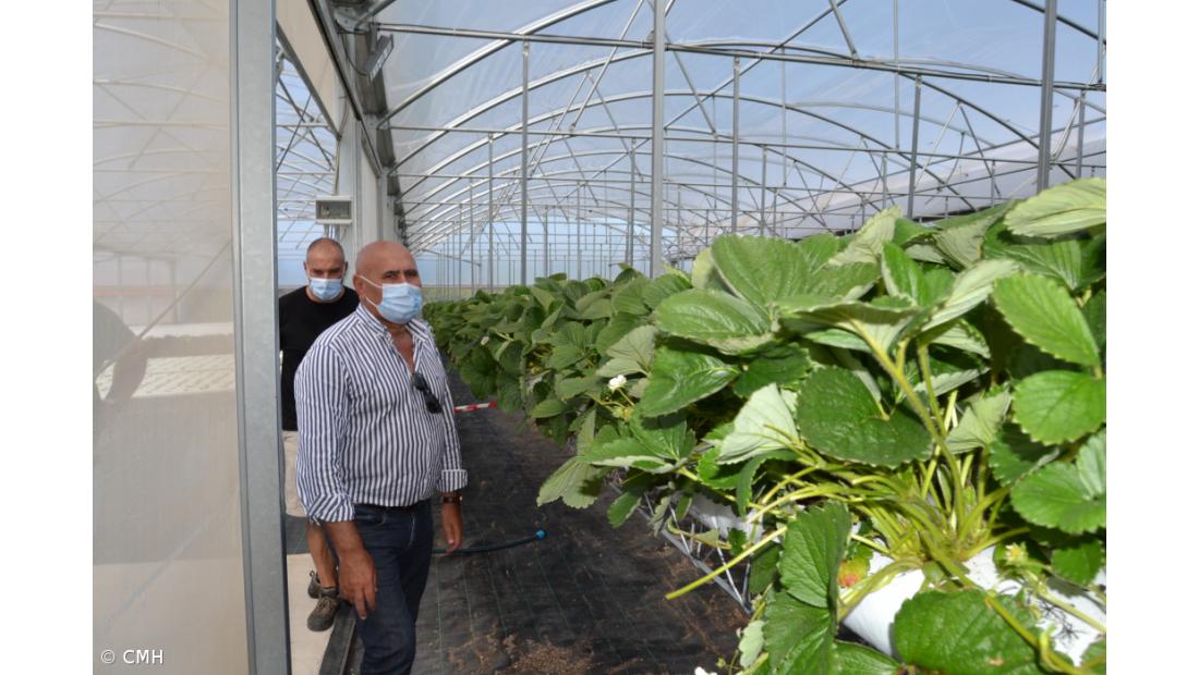 Empreendedorismo jovem na ilha do Faial – Imagem 2