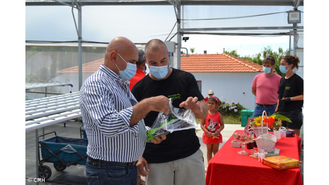 Empreendedorismo jovem na ilha do Faial – Imagem 3