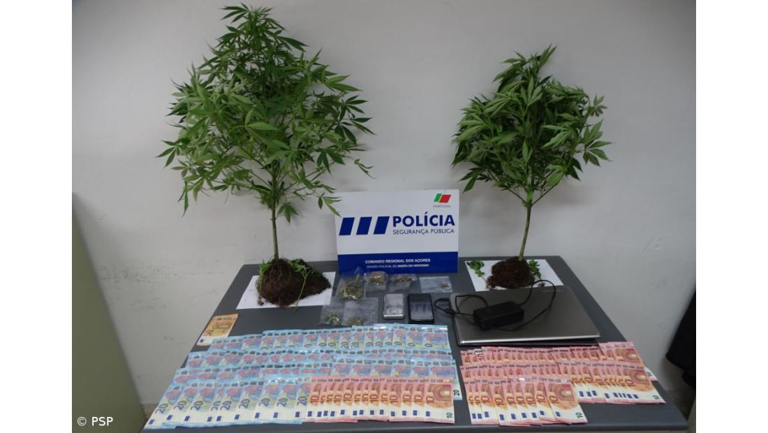 Homem detido em flagrante delito pelo crime de tráfico de estupefacientes