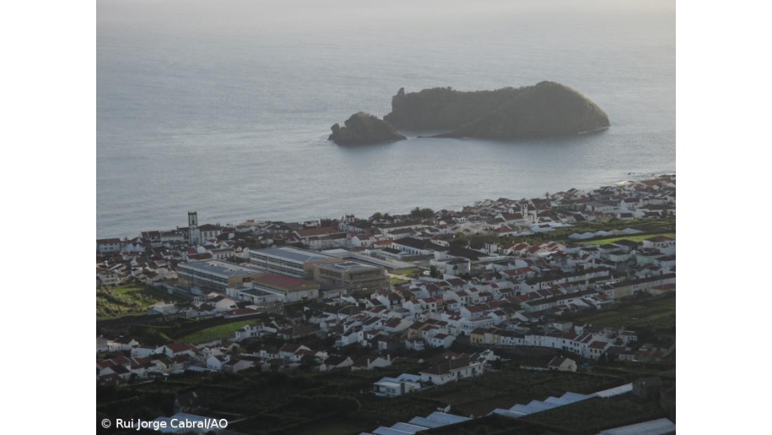 PSD de Vila Franca não faz campanha para as regionais