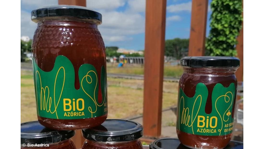 Bio Azórica lança mel biológico – Imagem 3