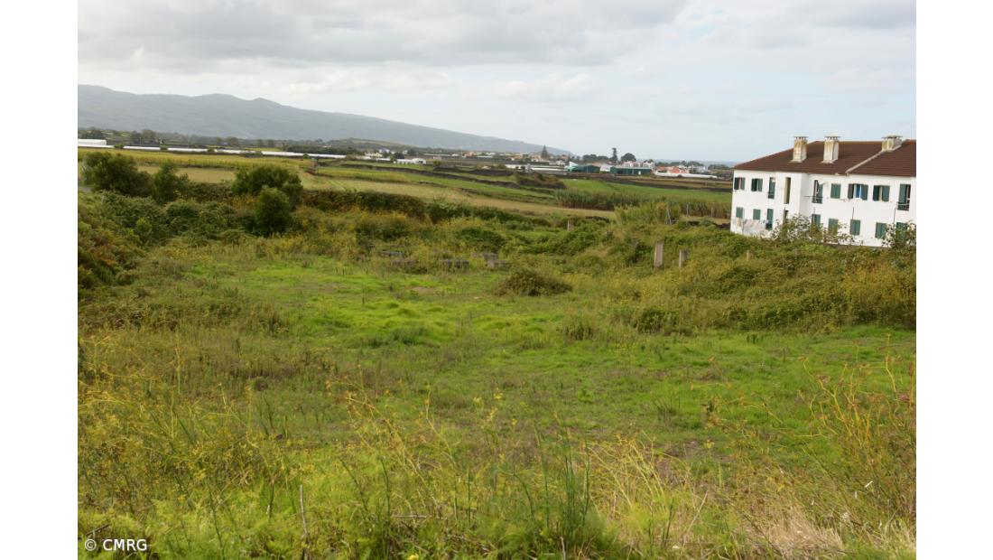 Câmara da Ribeira Grande cede terreno para construção de moradias unifamiliares
