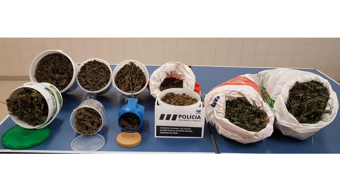 Detidos dois alegados traficantes e apreendidos 12 quilos de liamba – Imagem 3