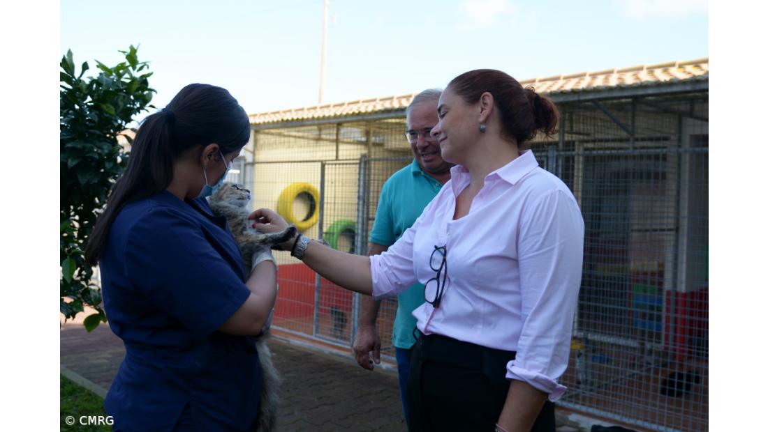 Casa dos Animais da Ribeira Grande classificada como Centro de Recolha Oficial – Imagem 2