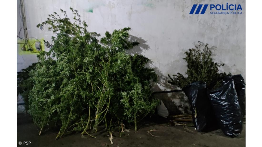 Dois homens detidos por suspeita de tráfico de estupefaciente