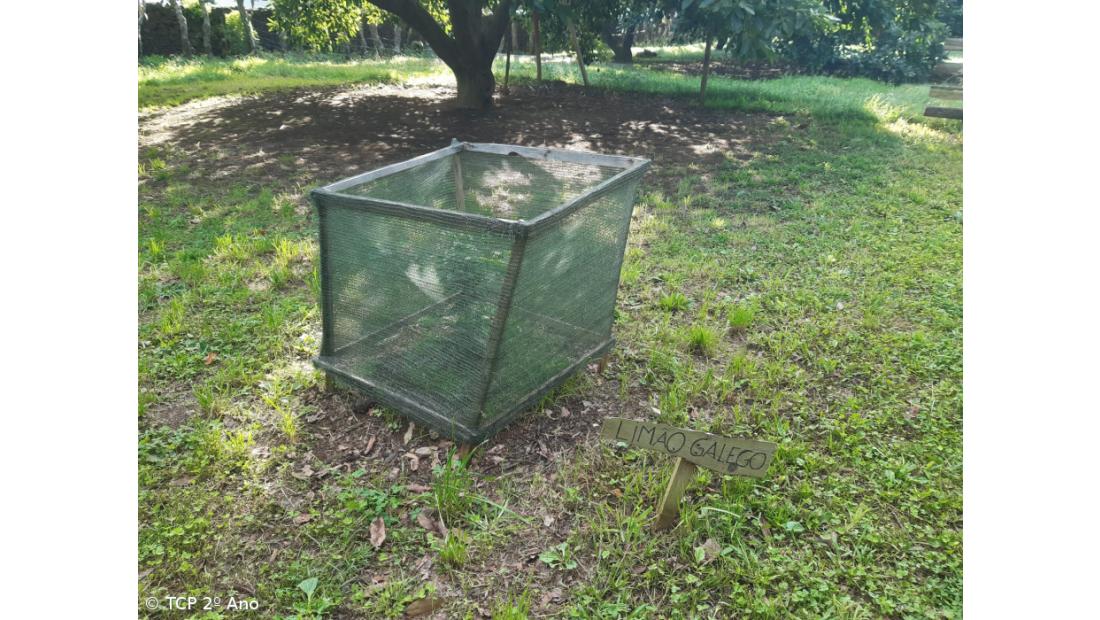 Produtos livres de pesticidas utilizados na EFTH – Imagem 8