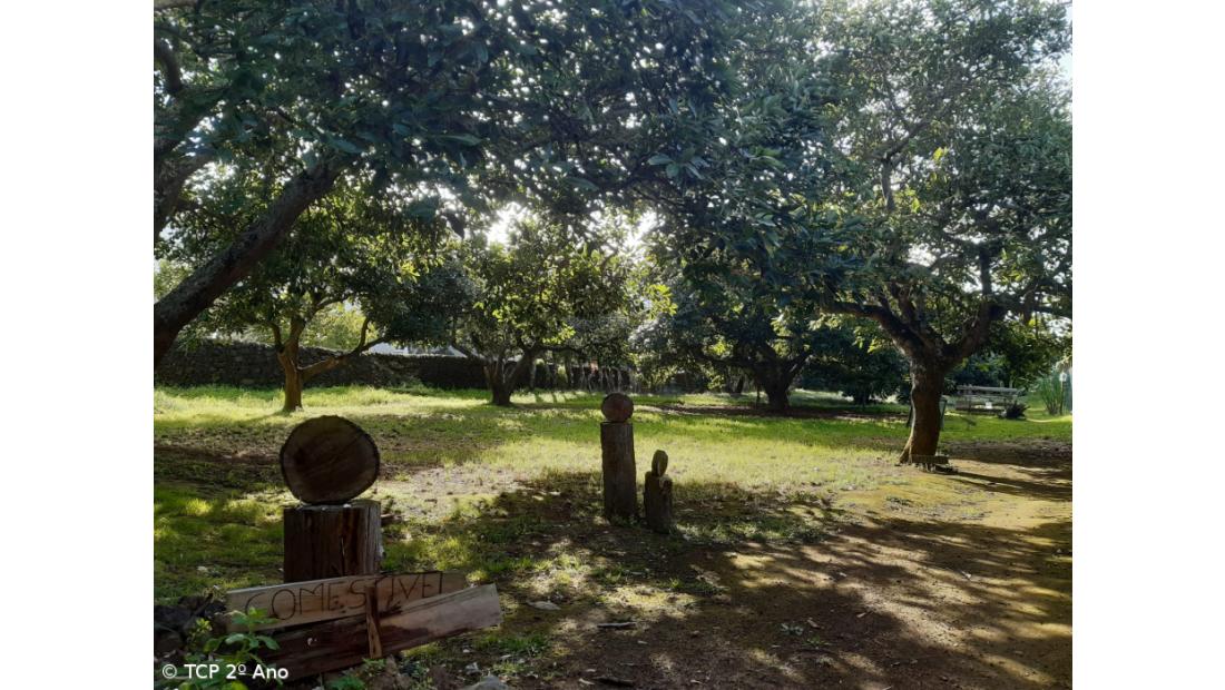 Produtos livres de pesticidas utilizados na EFTH – Imagem 6