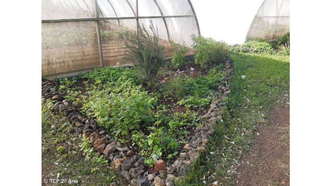 Produtos livres de pesticidas utilizados na EFTH – Imagem 4