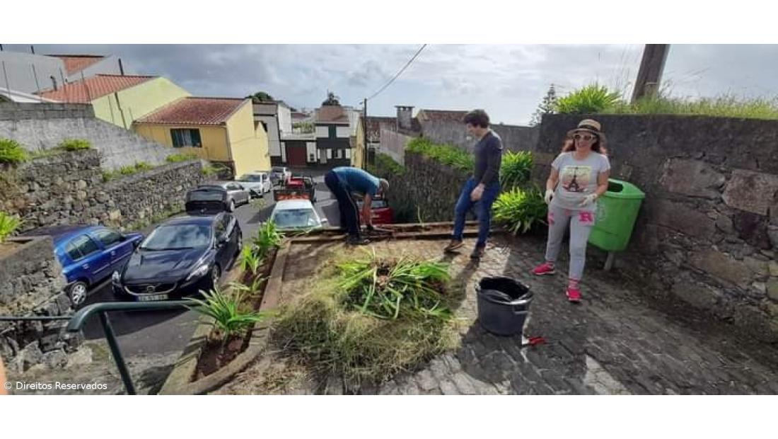 Guias turísticos querem abrir moinho de vento a visitas – Imagem 3