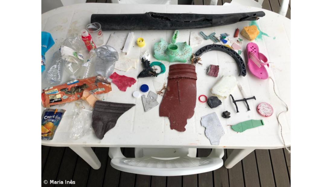 Proteção ambiental desde tenra idade – Imagem 4