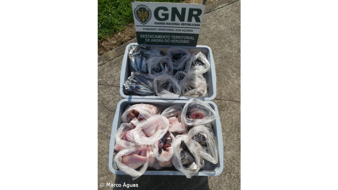 Apreensão de 40 quilos de pescado na Terceira