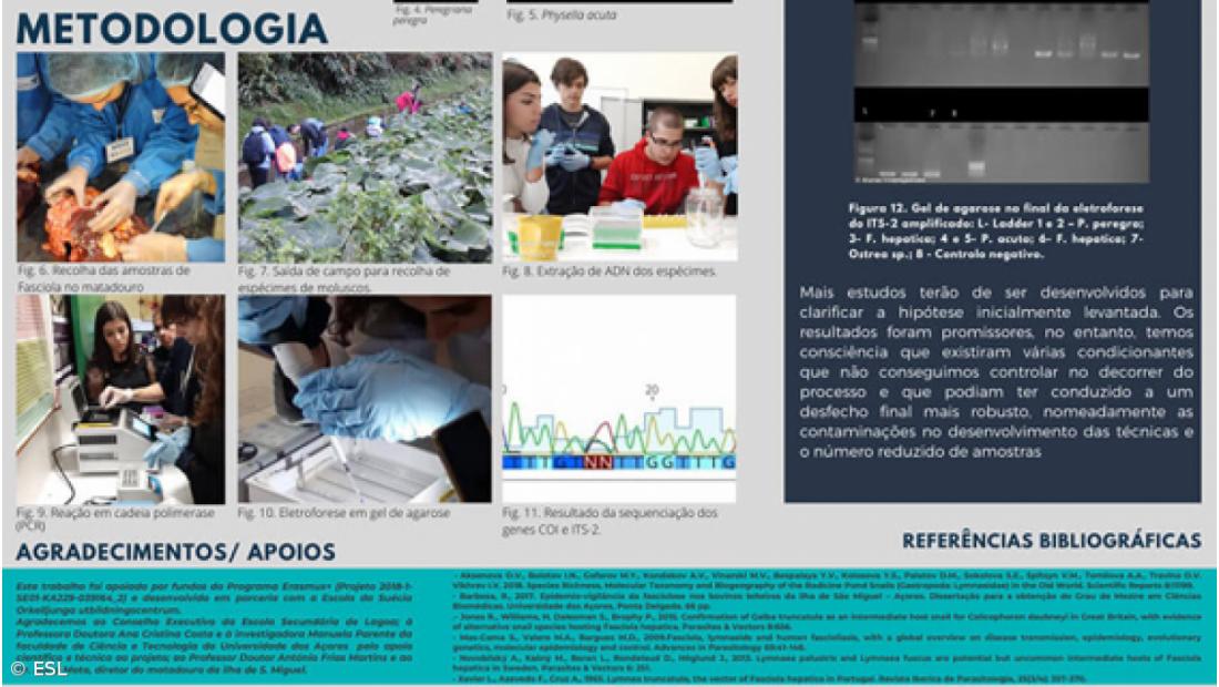 ESLagoa  obtém Menção Honrosa e Prémio de participação Internacional – Imagem 5
