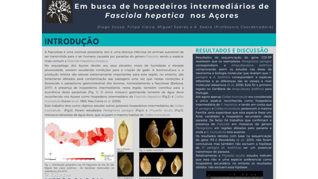 ESLagoa  obtém Menção Honrosa e Prémio de participação Internacional – Imagem 4