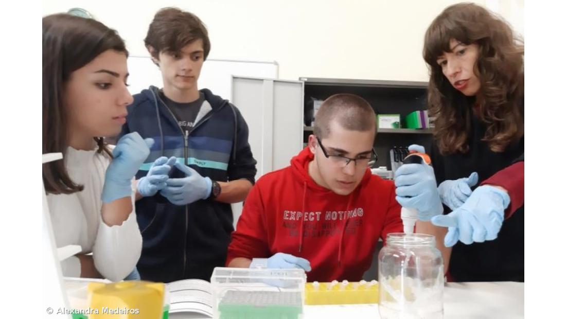 Menção honrosa para alunos da Lagoa na Mostra Nacional de Ciência 