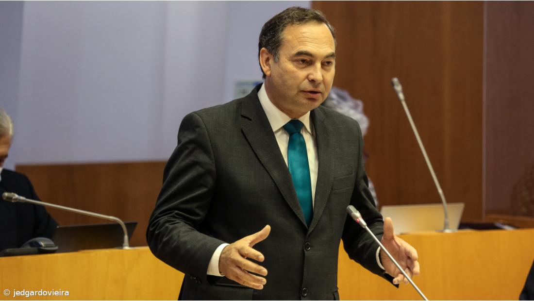 Governo dos Açores altera regras na venda de madeira para garantir sustentabilidade das florestas