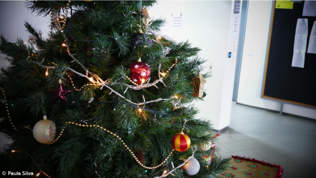 Presépios na Escola I – Imagem 5