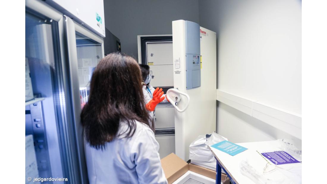 Vacinas contra a Covid-19 chegaram aos Açores – Imagem 5