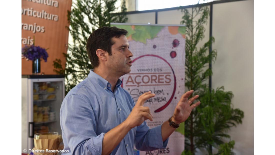 Pandemia ‘estragou’ ano recorde de vinho certificado – Imagem 3