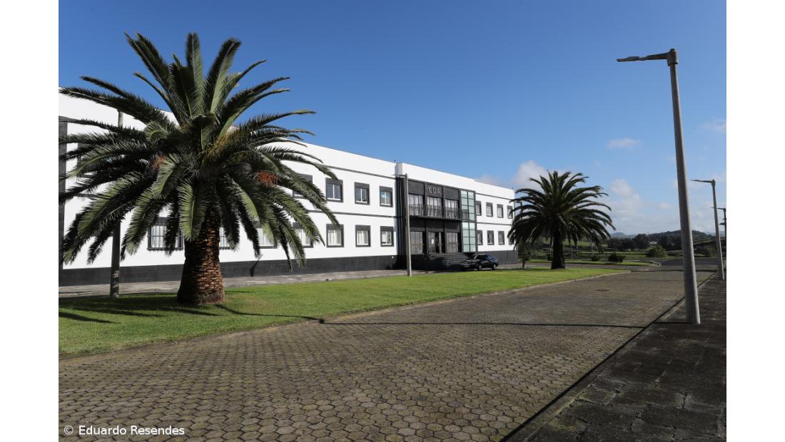 Forças Armadas apoiam linhas Covid-19