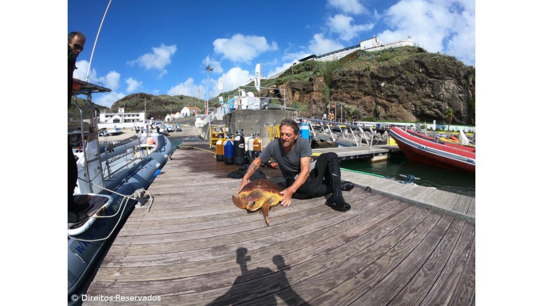 Governo dos Açores mantém isenções para empresas marítimo-turísticas