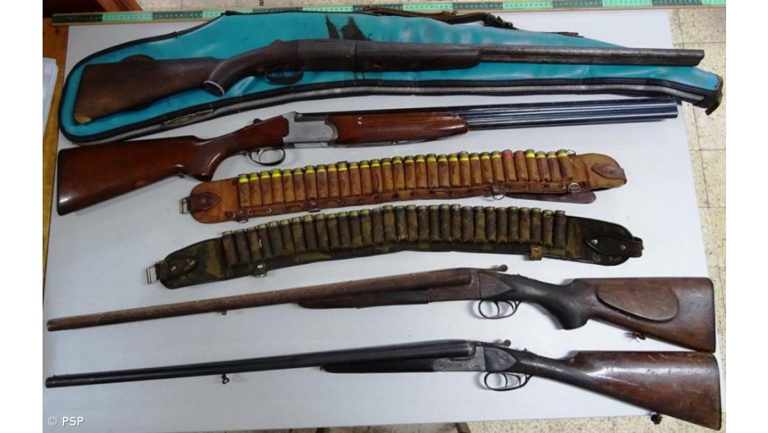 Apreensão de duas armas de fogo e 60 munições