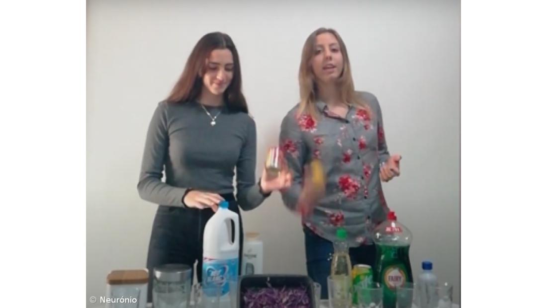 Feira de Ciência 4.0 na ESLagoa – Imagem 1