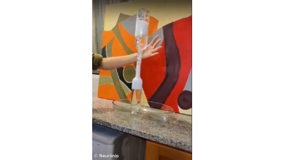 Feira de Ciência 4.0 na ESLagoa – Imagem 22