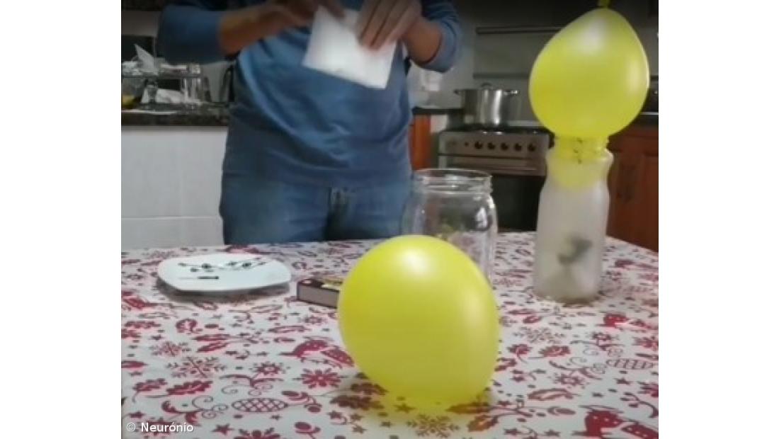 Feira de Ciência 4.0 na ESLagoa – Imagem 18