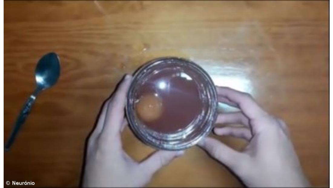 Feira de Ciência 4.0 na ESLagoa – Imagem 7