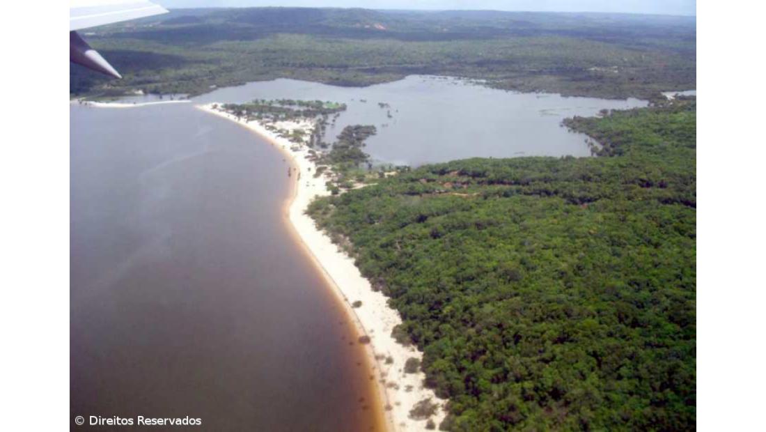 Amazónia corre o risco de se "savanizar"