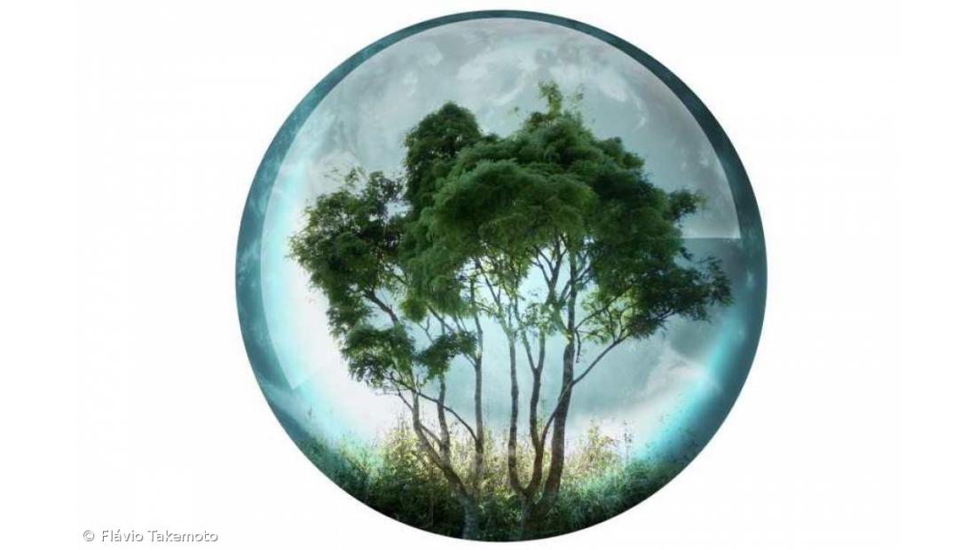 ONU pede redução urgente de emissões de gases com efeito de estufa