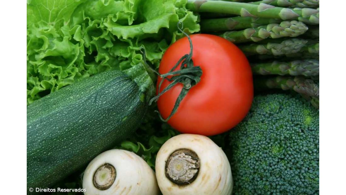 Bruxelas quer frutas e legumes nas escolas