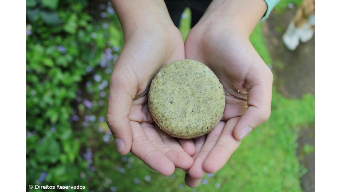 Jovens açorianos criam loja online de produtos ecológicos – Imagem 3