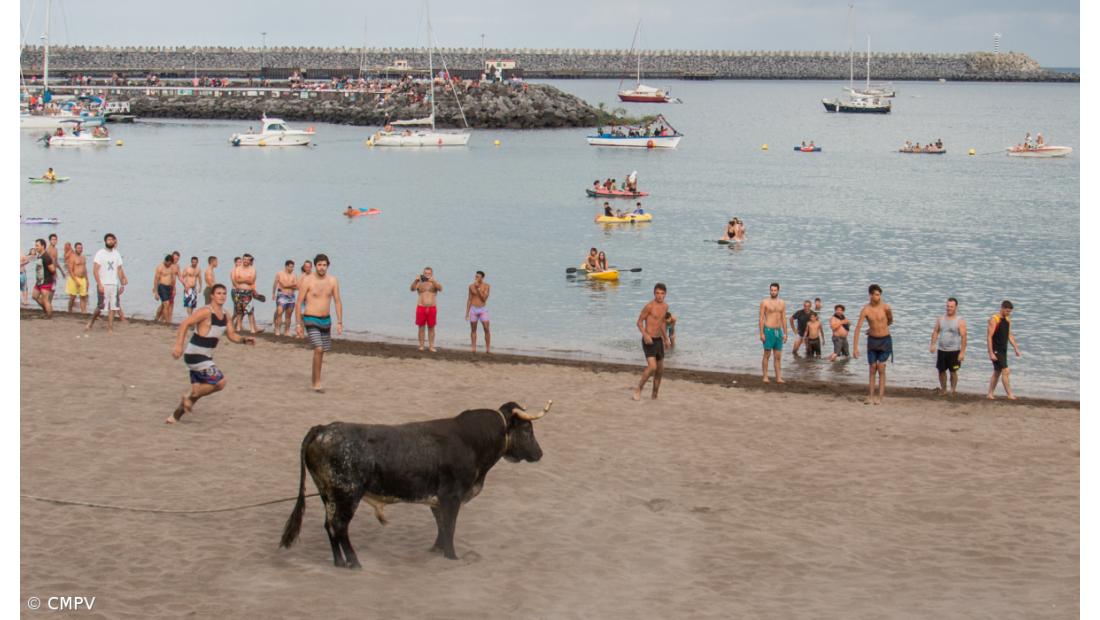 Praia da Vitória integra Associação de Municípios com Atividade Tauromáquica