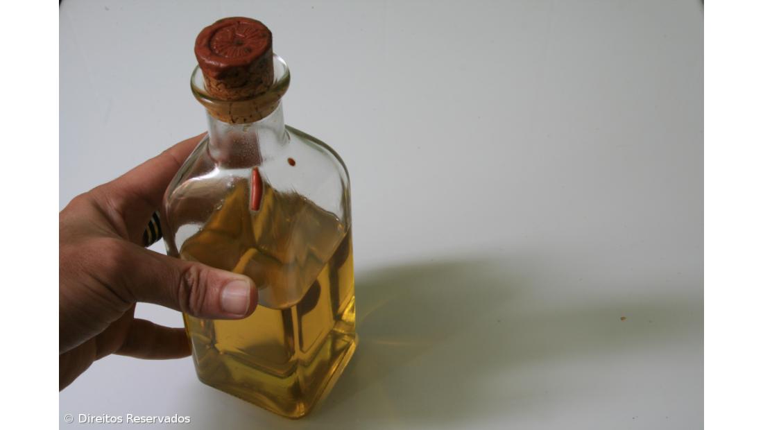 DECO detecta duas marcas de azeite falsificadas