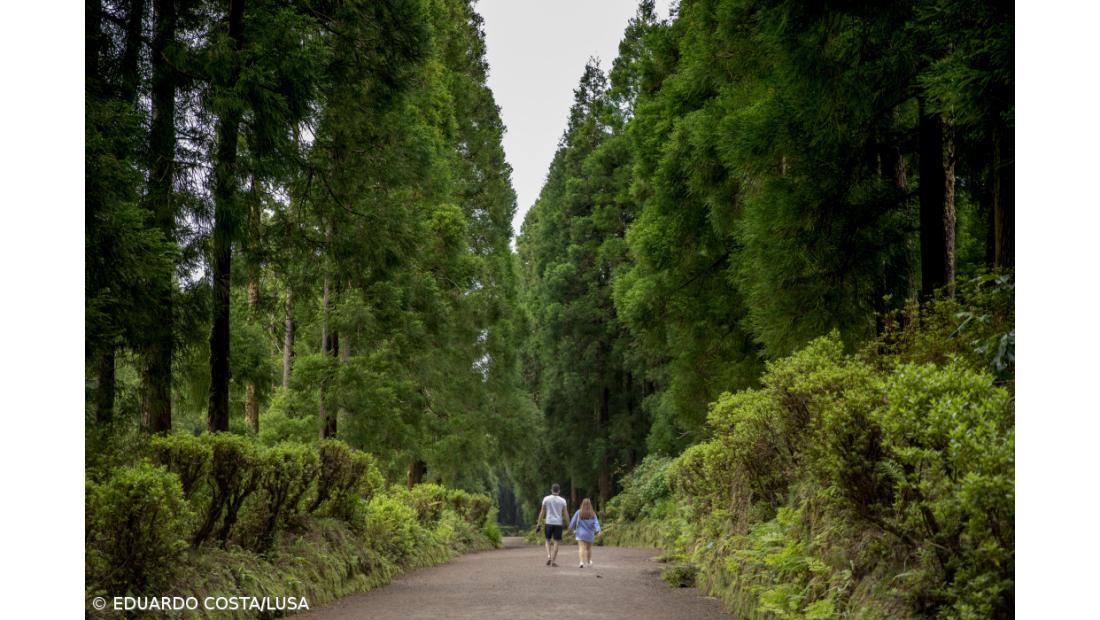 São Miguel recebe prova que é um “encontro de mundos” entre desporto e arte