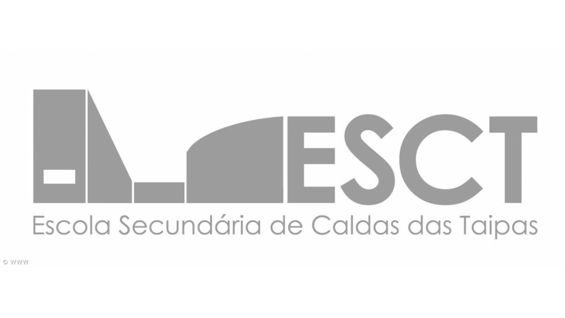 Escola Secundária de Caldas das Taipas e uma turma da Escola Secundária de Lagoa desenvolvem interação virtual  – Imagem 4