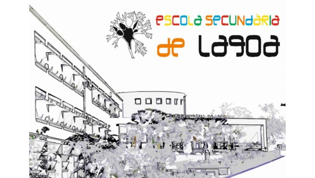 Escola Secundária de Caldas das Taipas e uma turma da Escola Secundária de Lagoa desenvolvem interação virtual  – Imagem 3