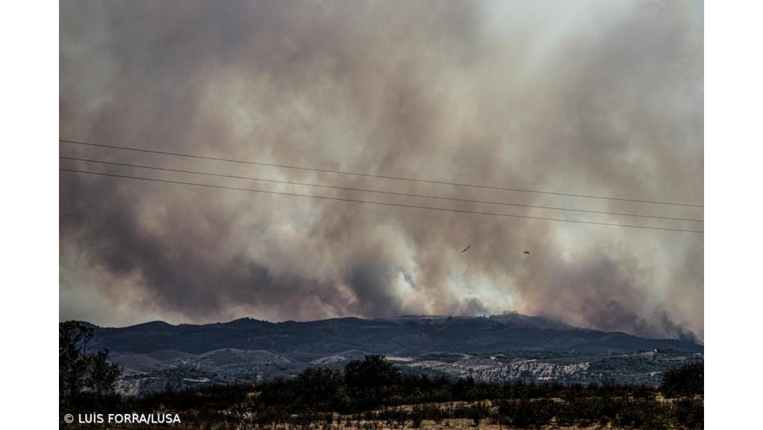 Septuagenário detido pela autoria de quatro incêndios na Póvoa de Lanhoso