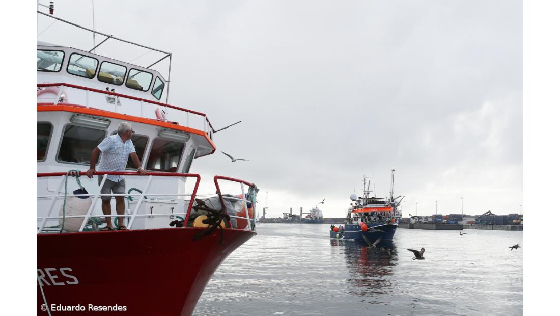 Pescadores podem candidatar-se a apoio de 1,3 ME face à proibição da pesca do espadarte